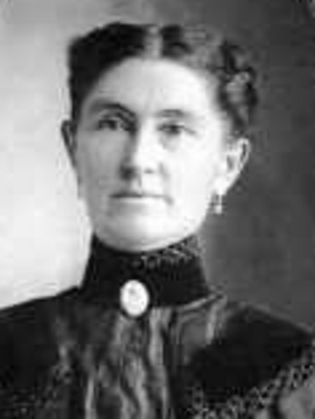 Mary Ellen Melling (1855 - 1940) Profile